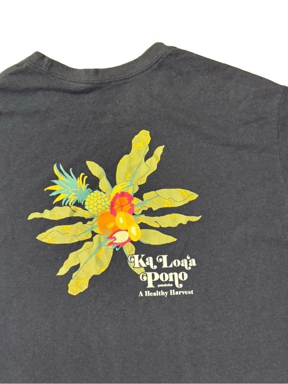 Patagonia Pataloha T-Shirt Men Large Blue Ka Loa’a Pono Hawaii Health Harvest